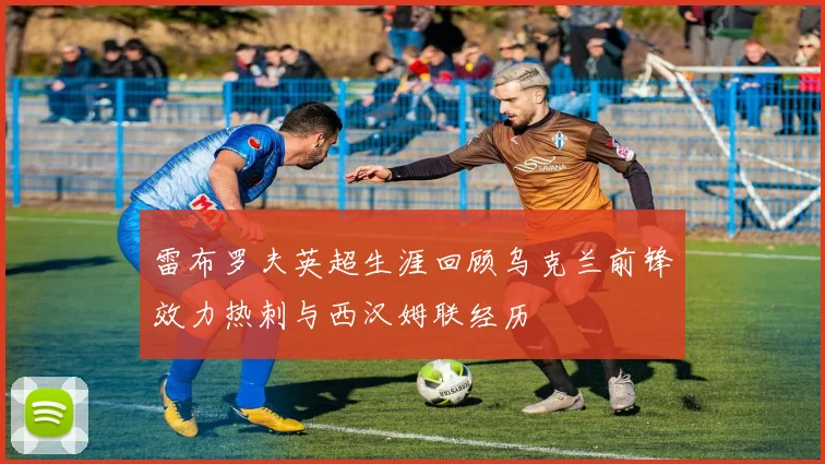 雷布罗夫英超生涯回顾乌克兰前锋效力热刺与西汉姆联经历