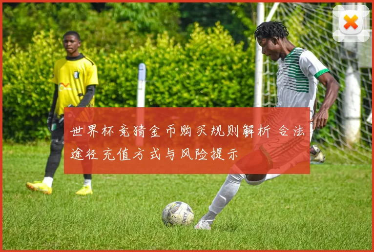 世界杯竞猜金币购买规则解析 合法途径充值方式与风险提示