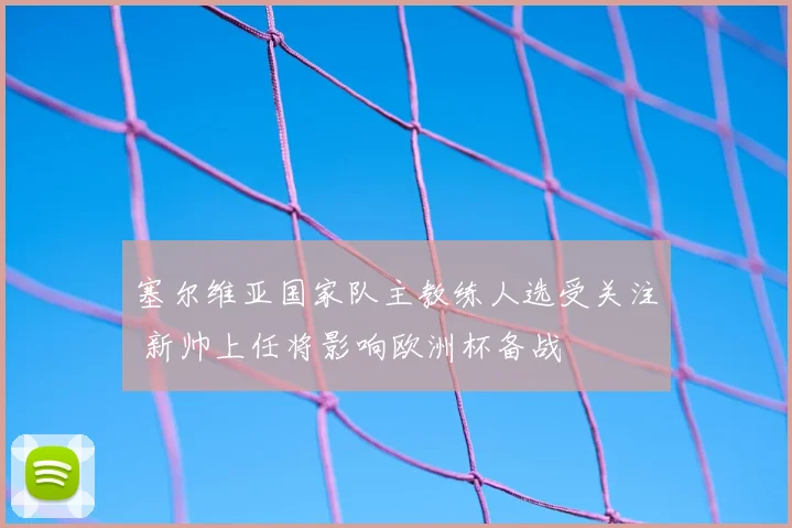 塞尔维亚国家队主教练人选受关注 新帅上任将影响欧洲杯备战