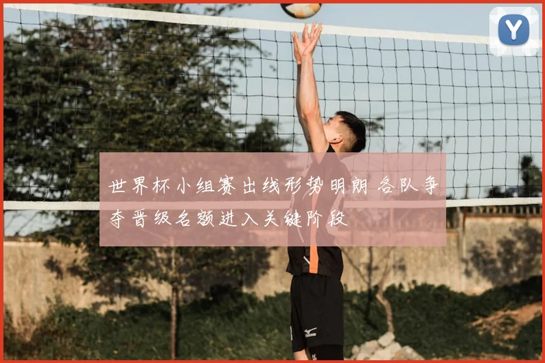 世界杯小组赛出线形势明朗 各队争夺晋级名额进入关键阶段