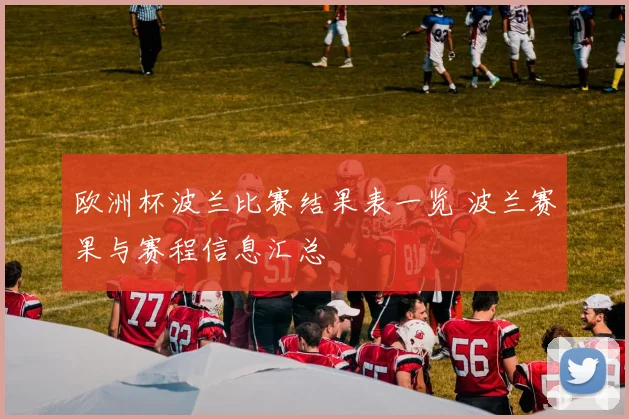 欧洲杯波兰比赛结果表一览 波兰赛果与赛程信息汇总