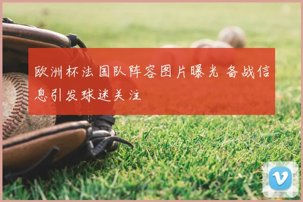 欧洲杯法国队阵容图片曝光 备战信息引发球迷关注