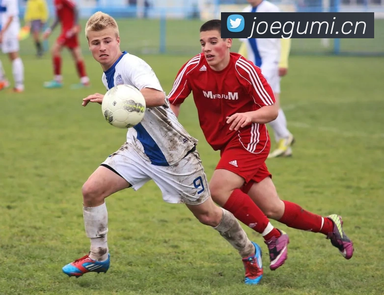 多媒体互动体验